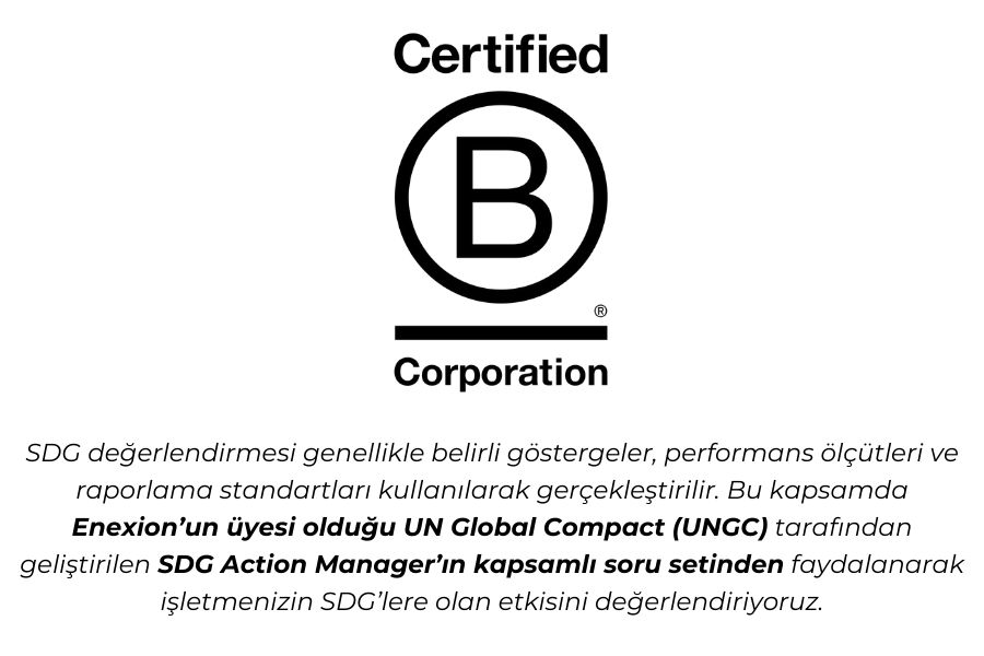 sdg danışmanlığı