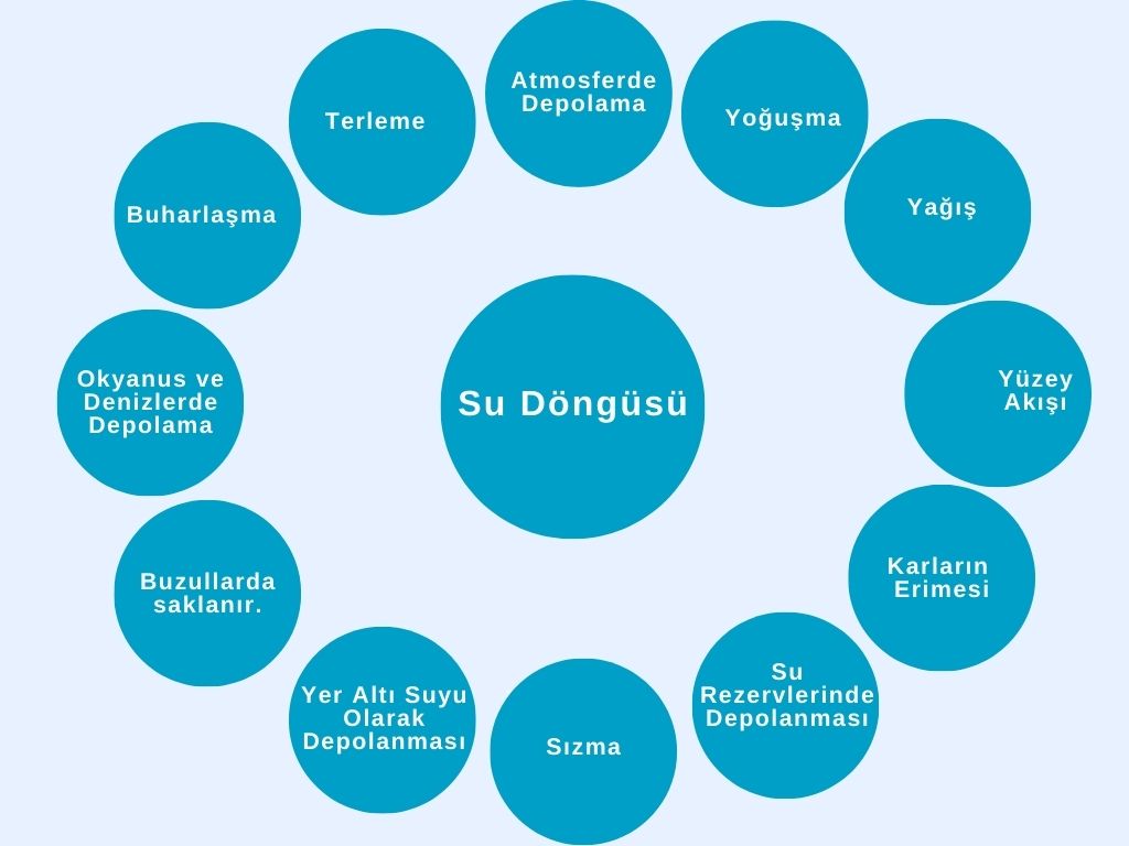 su döngüsü aşamaları