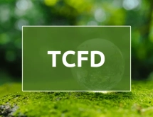 İklimle Bağlantılı Finansal Beyan Görev Gücü (TCFD) Raporlaması