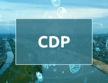 CDP Raporlaması