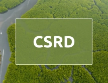 CSRD Raporlaması