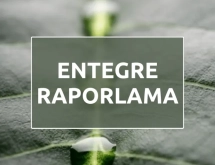 Entegre Raporlama